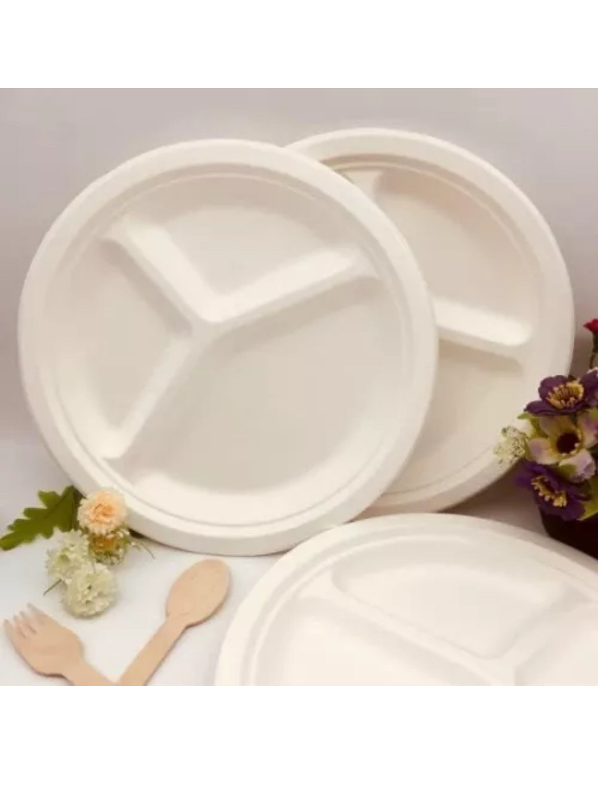 3 compartments Bagasse plates Disposable biodegradable