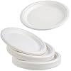 Super Rigid strong Disposable Biodegradable Bagasse Plates